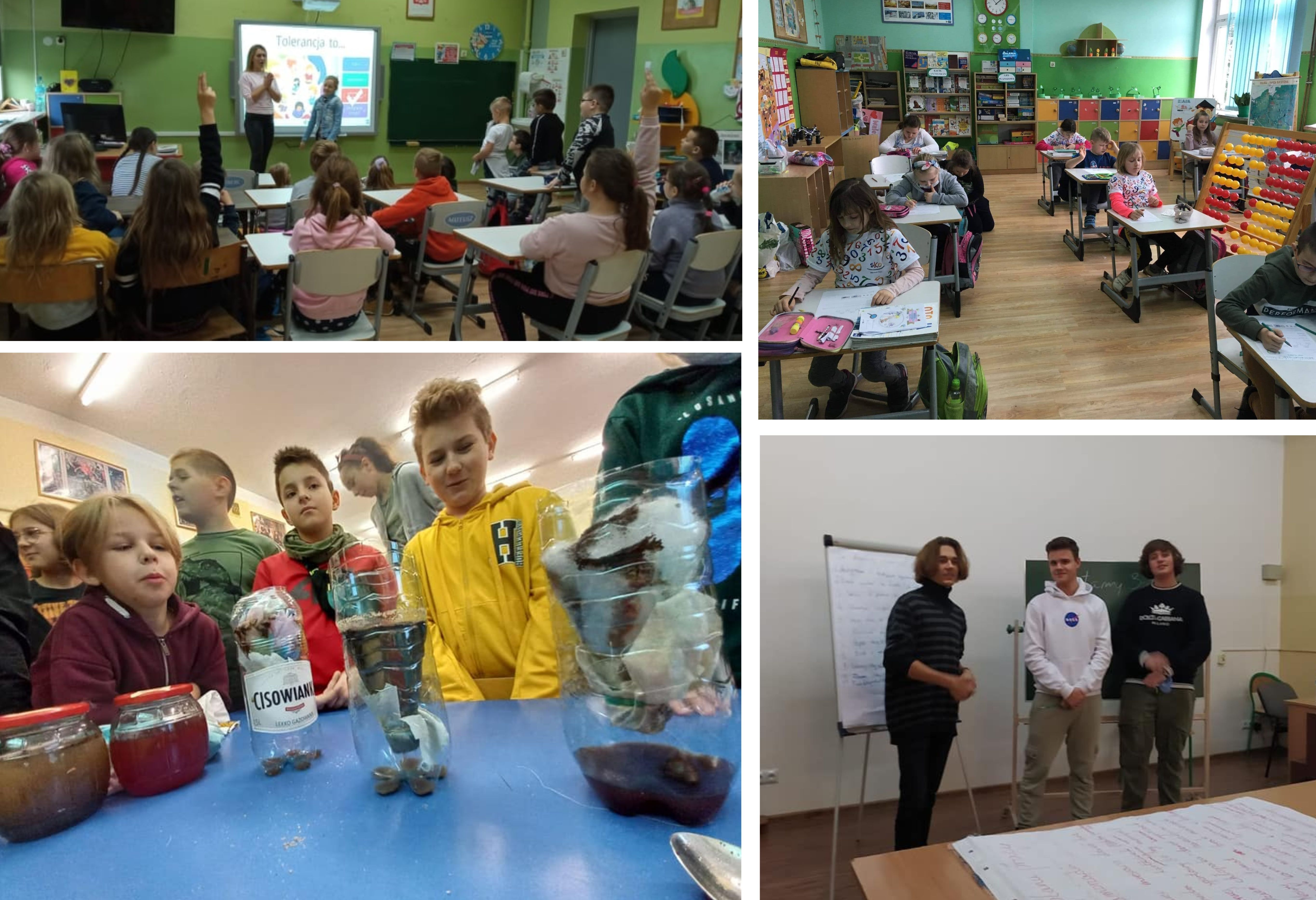 Ilustracja do informacji: Dostępne Szkoły w Szprotawie